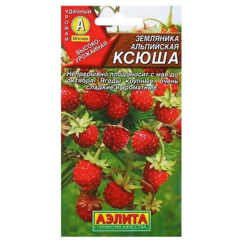 ���������� ������ ��������� 