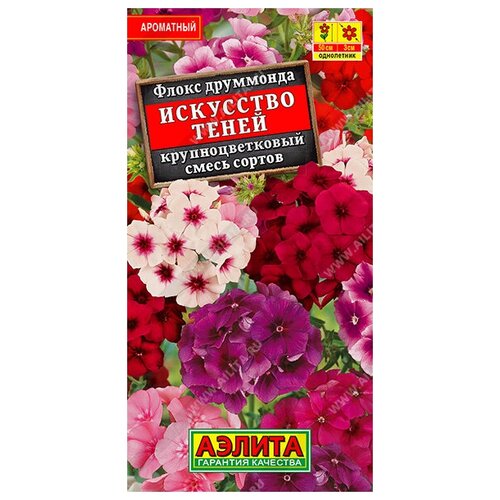 ���������� ����� 