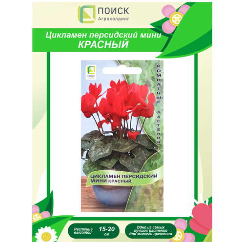 ���������� ������ �������� ���������� ���� ������� ��������� 2 ��.