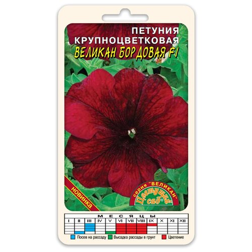 ���������� ����� ������� ��������������� ������� �������� F1 (������ �������� ��� 10 ��. � ������)