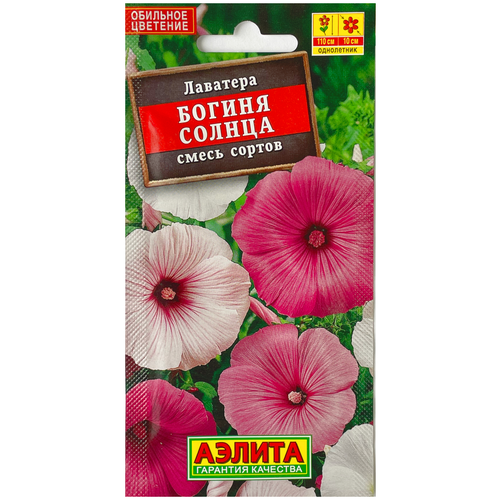 ���������� ������ ������ �������� 