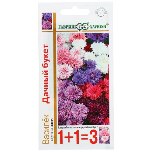 ���������� ������ ������ ������� 1+1 