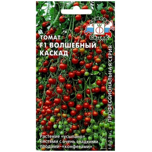 ���������� ������ ����� 