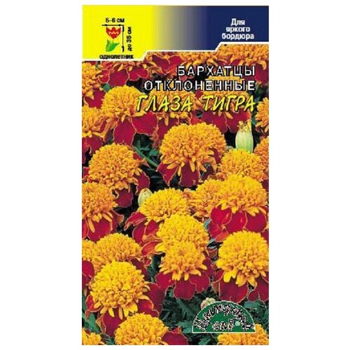 ���������� ������ �������� ��� 