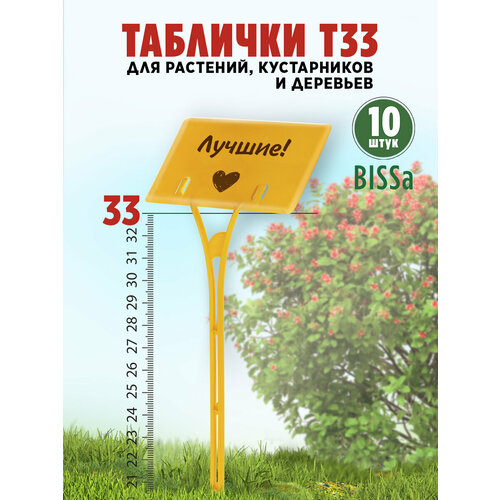 ���������� ������� �������� ��� ��������, Bissa �33, ������, 10 ��