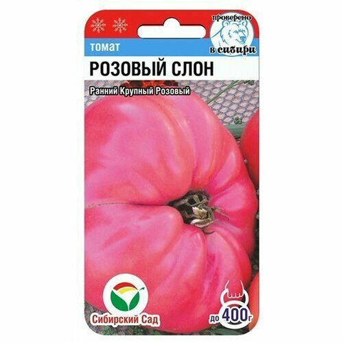 ���������� ������ ����� ������� ���� (��������� ���) 20��