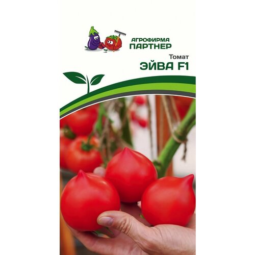 ���������� ������ ������ ��������� ������� 