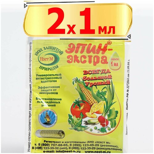 ���������� ����-������