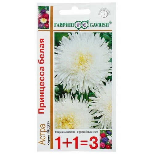 ���������� ������ ������ ������ ����� 1+1 