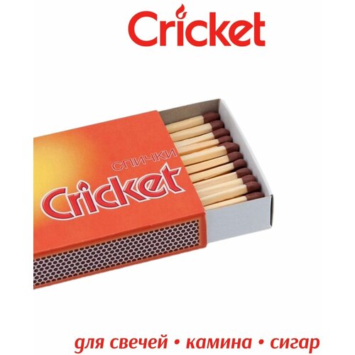   Cricket   , -, 