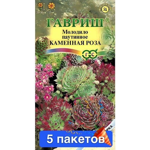 ���������� ������ ������ ������ 