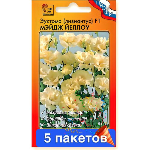 ���������� ����� ������� ��������� ����� ������ F1 5 �������