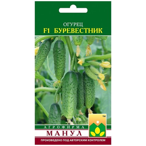 ���������� ������ ����� 