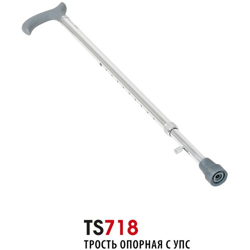      Ortonica TS 718   , -, 