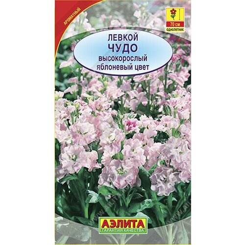 ���������� ������ 