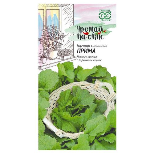 ���������� ������ ������ ������ �� ���� ������� �������� ����� 1 �