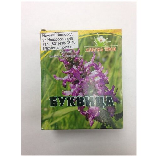  ,  1,5*20 -   (Betonica officinalis L.)   , -, 