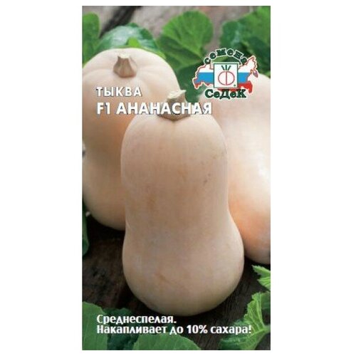 ���������� ����� ��������� F1 ���������, ������ ����� ( 1��: 1 � )