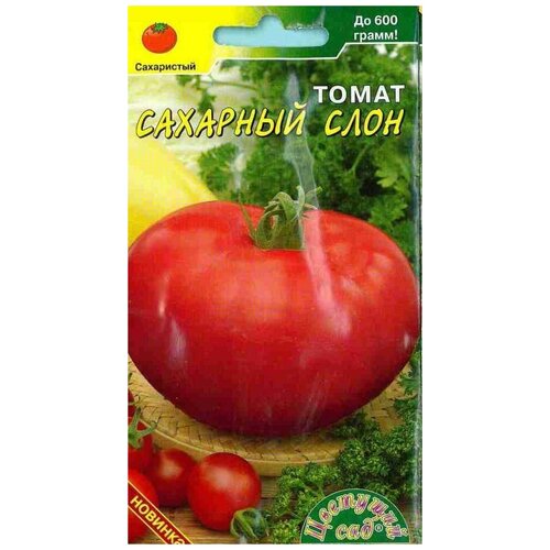 ���������� ������ �������� ��� 