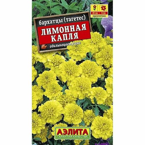 ���������� �������� 