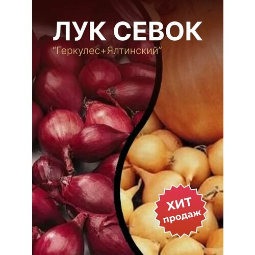 ���������� ��� ����� �� ������� 