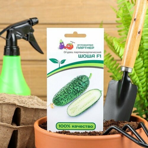 ���������� ������ ������ 