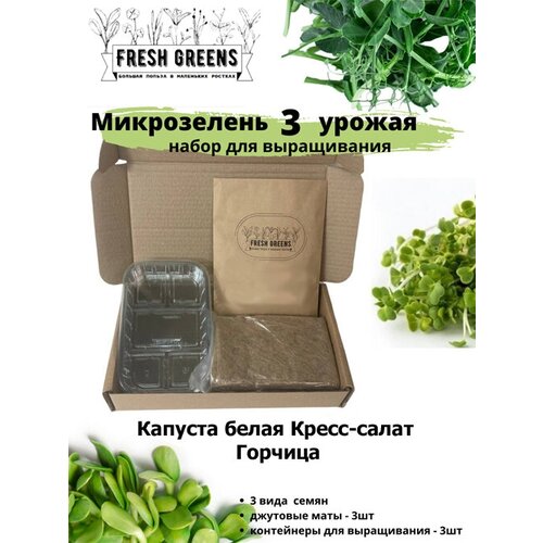     Fresh Greens (  - )   , -, 