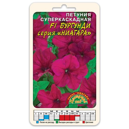 ���������� ����� ������� ����������� ������� F1 ������� (������ �������� ��� 10 ��. � ������)