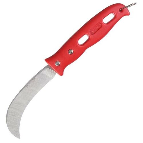 ���������� ��� ������� � ����������� ������ 21 �� 5245650