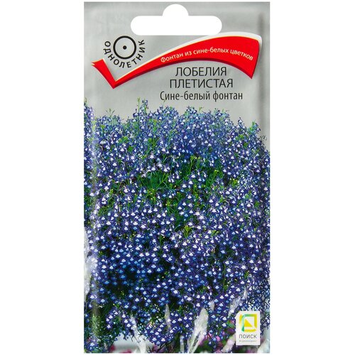 ���������� ������ ����� ������� ��������� ����-����� ������ 0.1 �