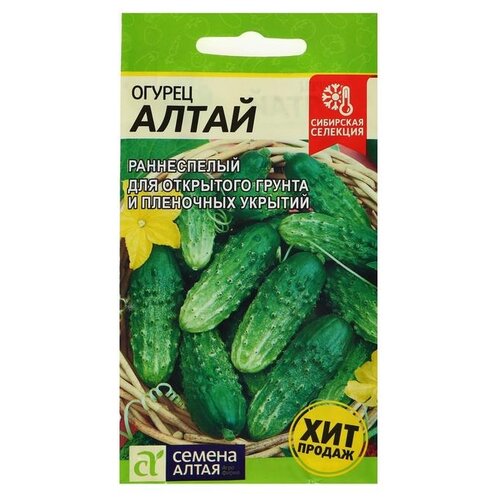 ���������� ������ ������ ����� ������ �����, �����������, ��������������, ��, 0,5  �