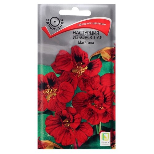 ���������� ������ ����� ��������� ����������� �������� 1 �