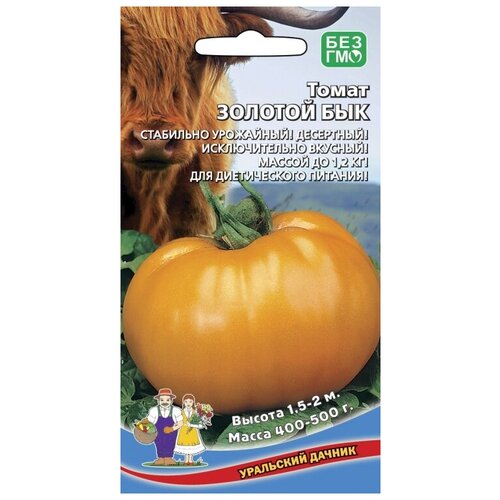 ���������� ������ ����� ������� ���