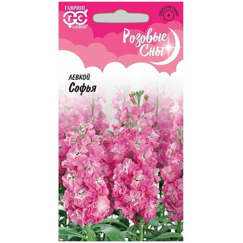 ���������� ������ ������ ������� ��� �����