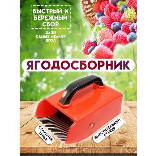 ���������� ������� ������������ � �������������� �������, (������������), ������� ��� ����� ���� (Kaisa)