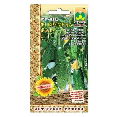 ���������� ������ ����� 