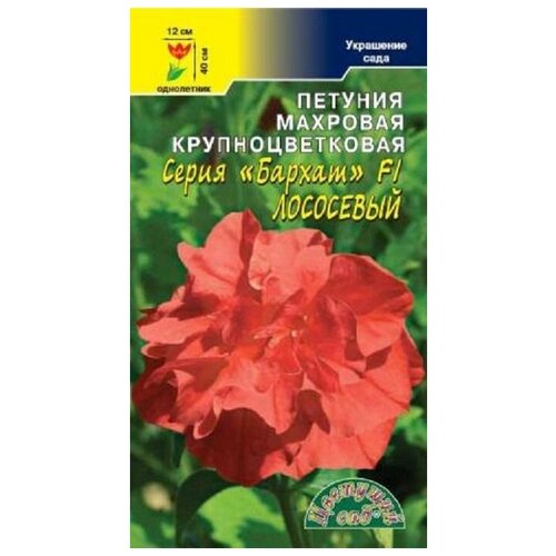 ���������� ������ �������� ��� 