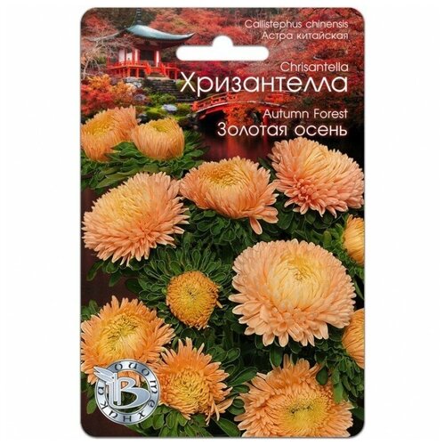 ���������� ������ ����� ��������� 