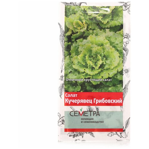 ���������� ������ ����� ����� ��������� ����������, 1�