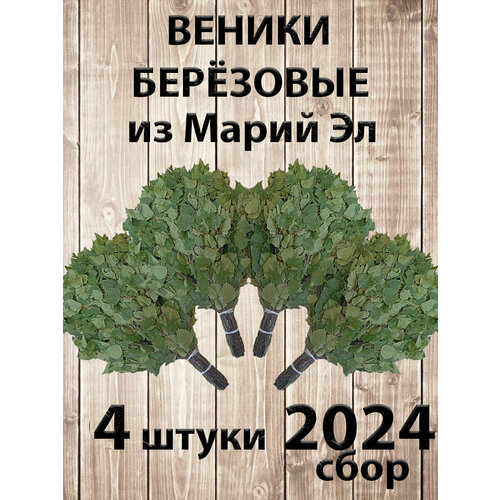     4   ,  2024    , -, 