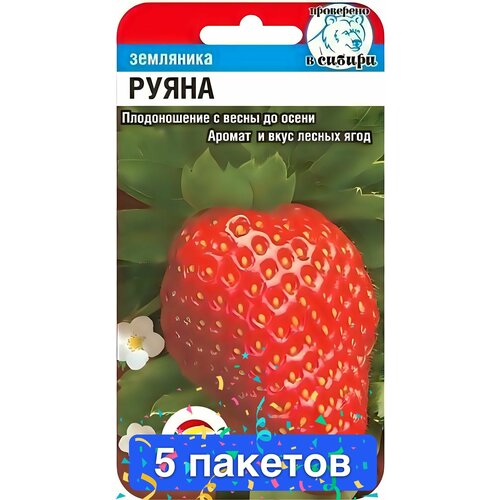 ���������� ������ ������ ��������� ��� 