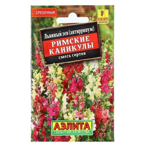 ���������� ������ ������ ������� ��� 