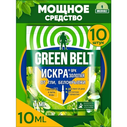     ,  Green Belt ( ) 10   1 