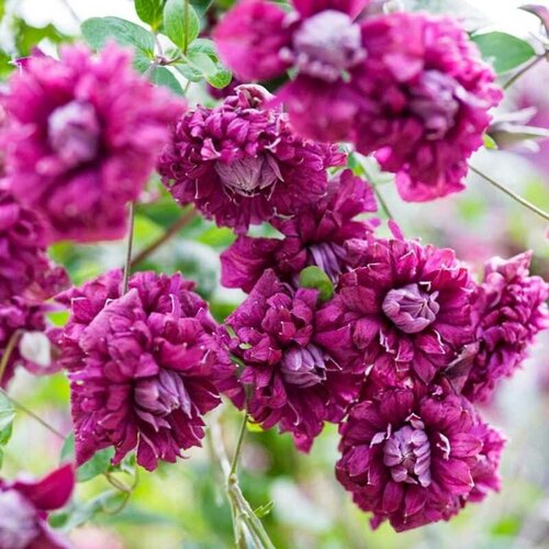 ���������� �������� �������� ����� �������