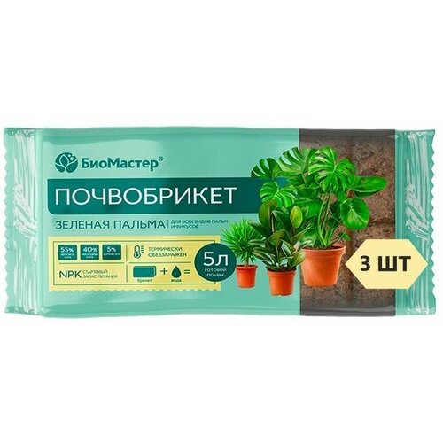 ���������� ����������� 