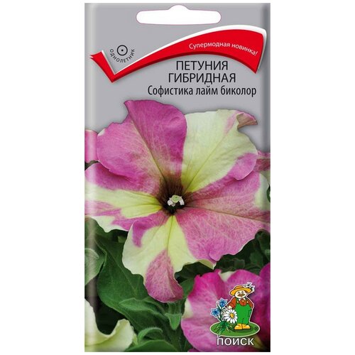 ���������� ������ ����� ������� ��������� ��������� ���� �������, 5 ��.