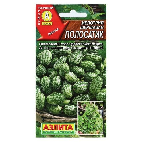 ���������� ������ �������� (������� ����) 