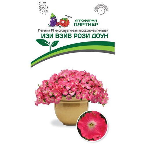 ���������� ������ ������� �������������� ��������-��������� 