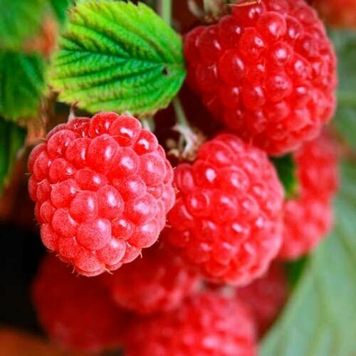 ���������� ������ ������������� ������ ��������� 2 ��