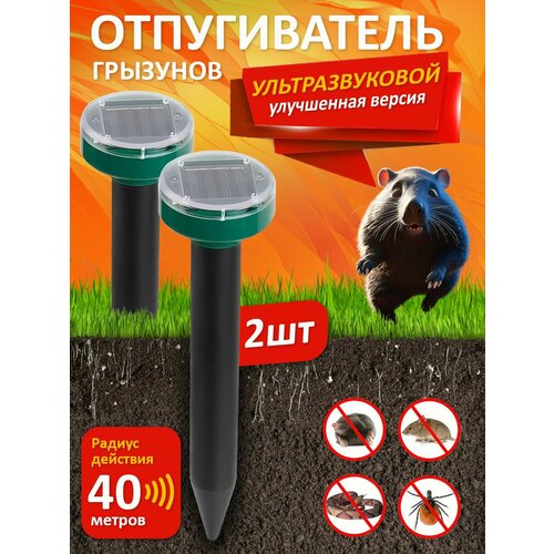 ���������� �������������� ������������ ���������� ������, �����, ��������, ���������, ����, ���� �� ��������� ��������, ����� 2 ��.